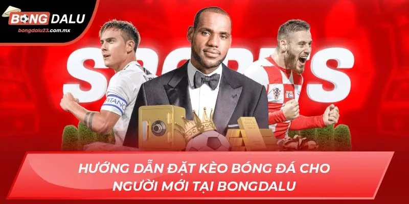 Hướng dẫn đặt kèo cá cược bóng đá cho người mới tại Bongdalu